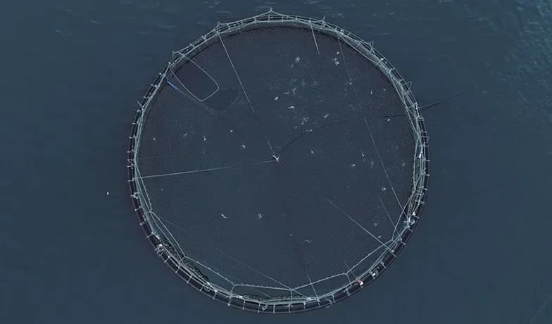 Acquacoltura e pesca