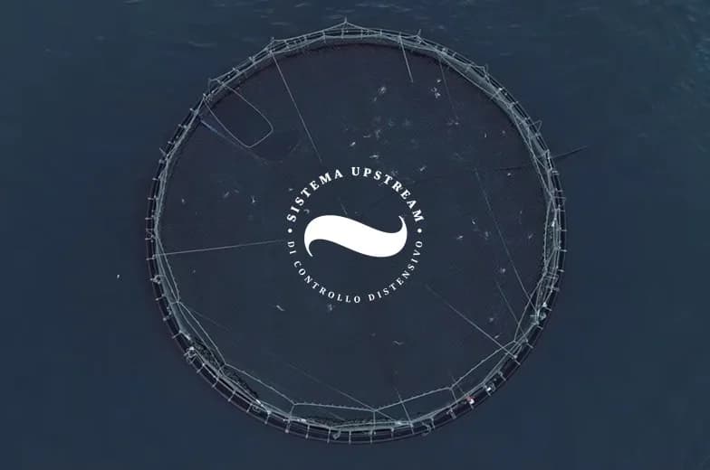 Fuori dai preconcetti, dentro luoghi d’allevamento di tutto rispetto