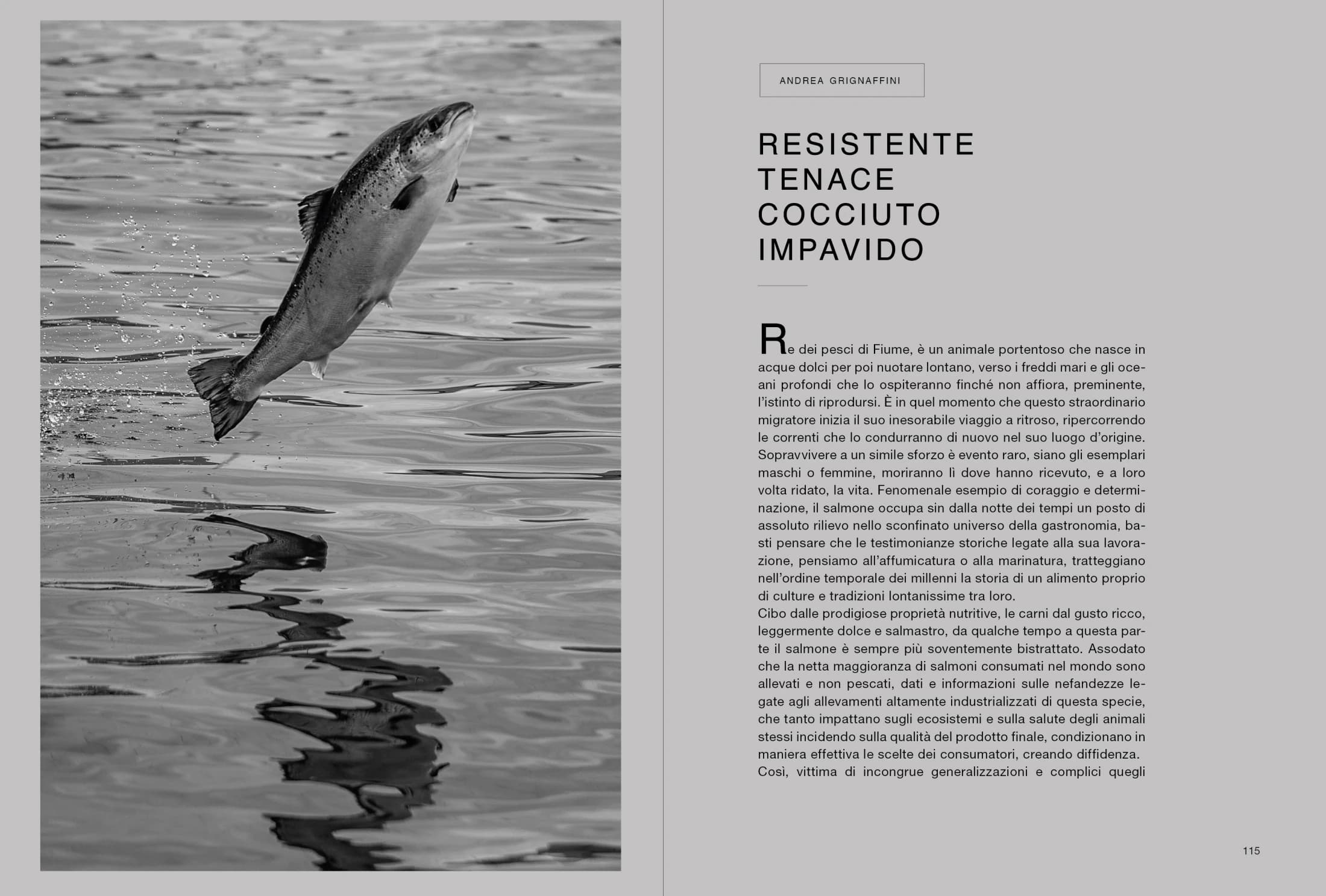 Apertura del libro sul salmone, resistente, tenace e controcorrente