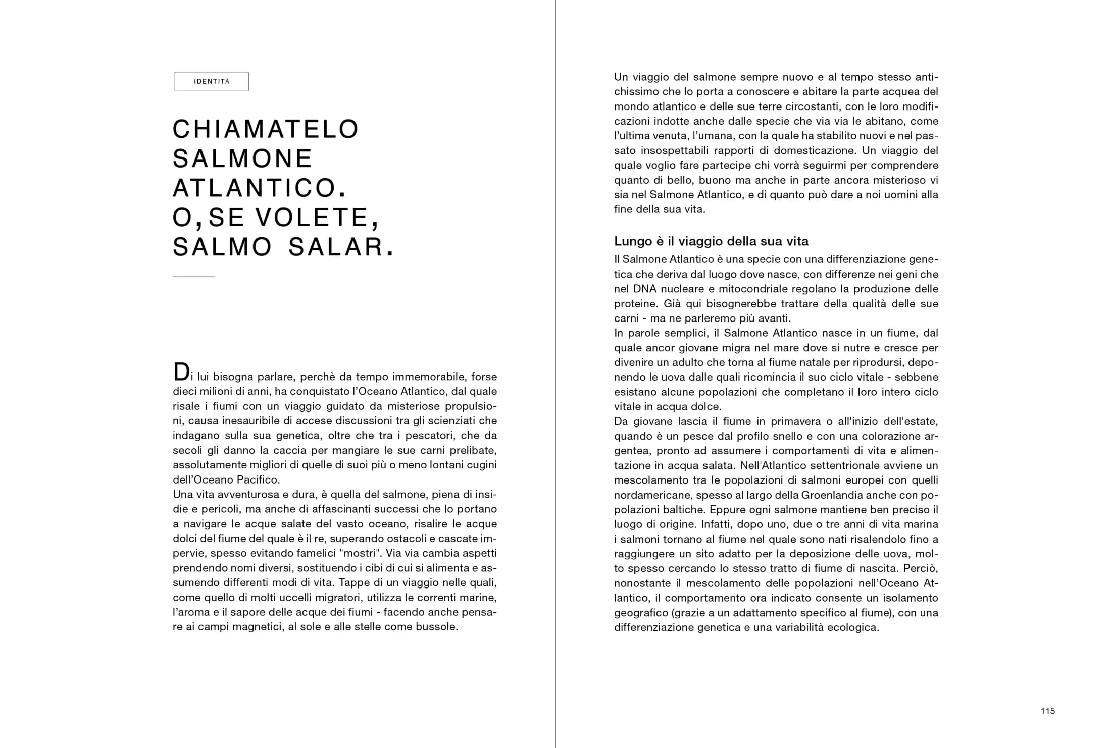 Chiamatelo Salmone Atlantico o Salmo salar