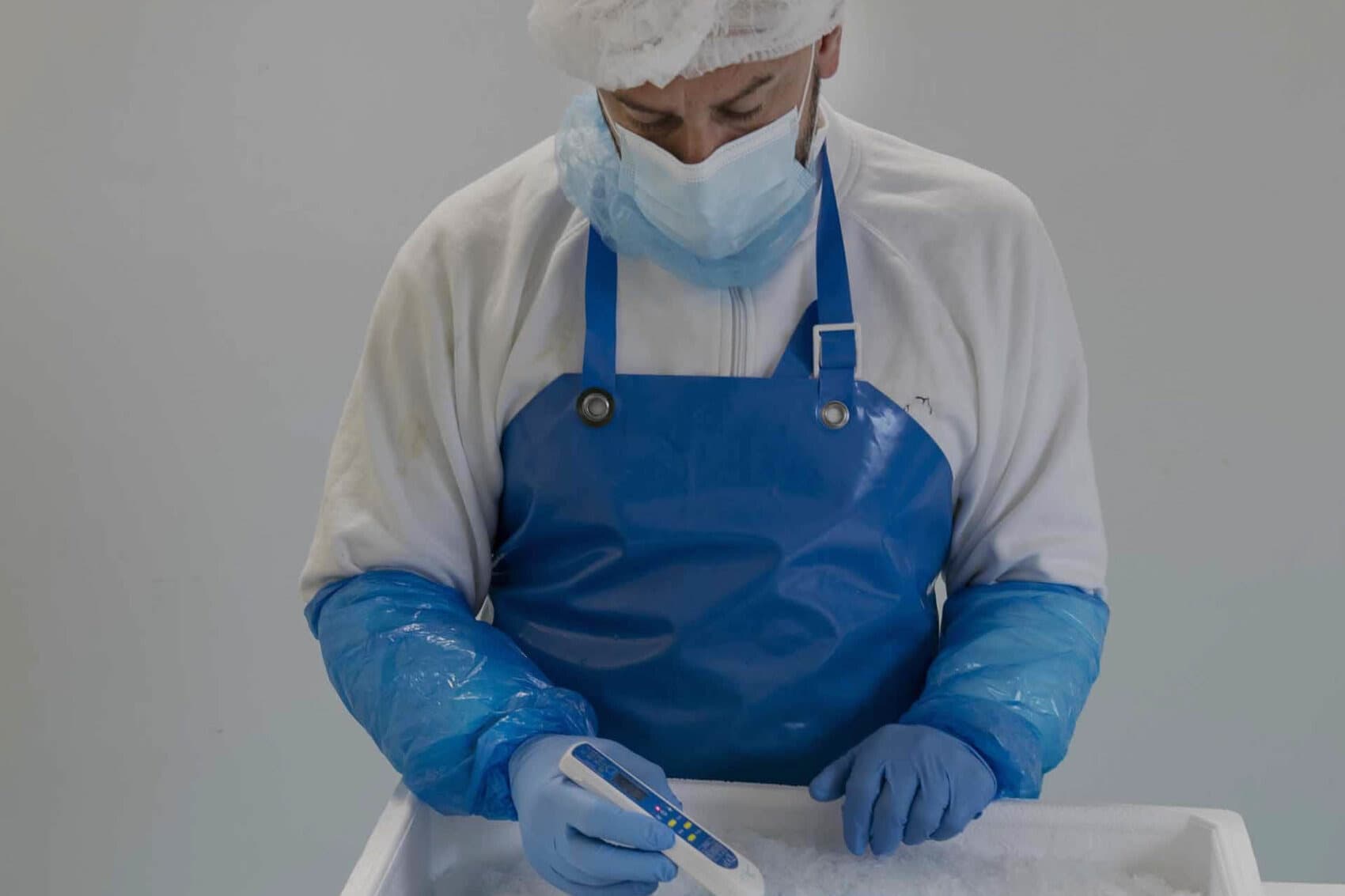 Fase 2 — Stoccaggio a temperatura controllata 0°, sconfezionamento e preparazione baffe.